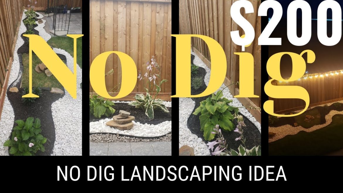 No Dig Landscaping Ideas (Only $200) No Dig Landscaping Ideas (Only $200)