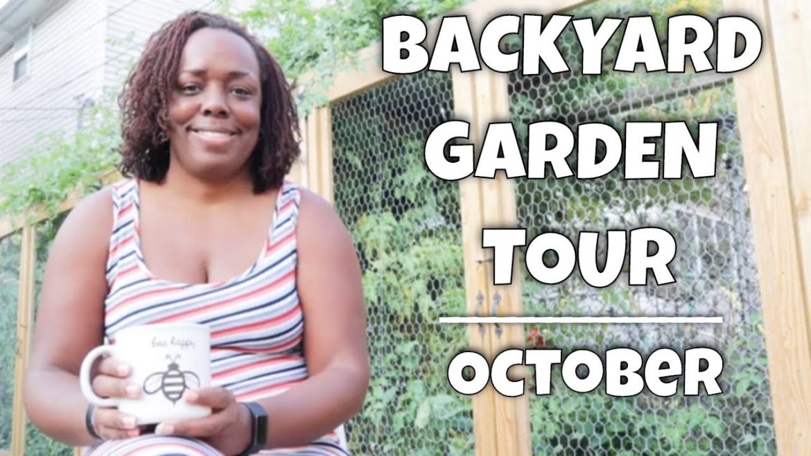 Backyard Garden | 7 Raised Garden Beds