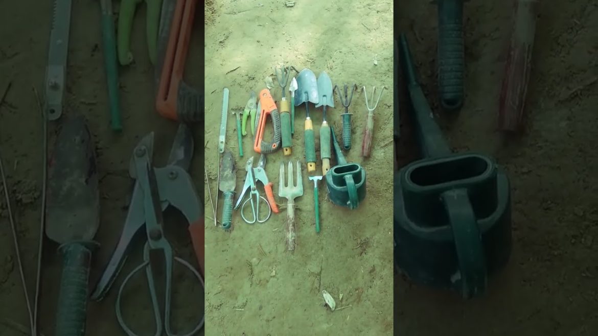 My garden tools Small Beautiful Home Garden Equipment #shorts #garden  @spearjac ​