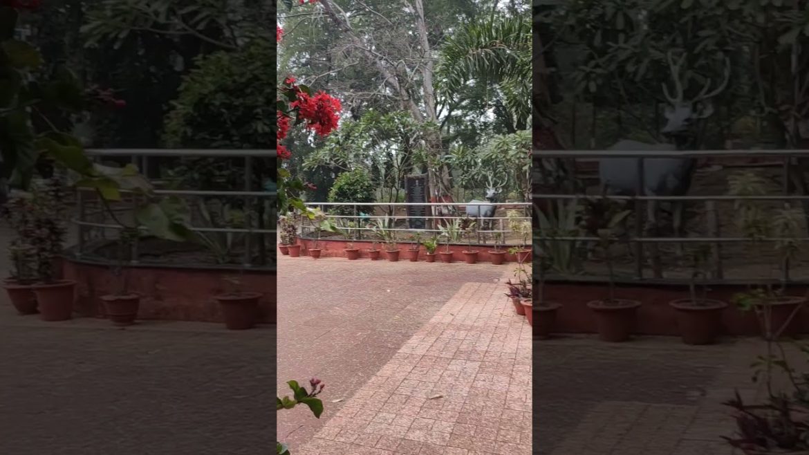 Japanese garden Nagpur