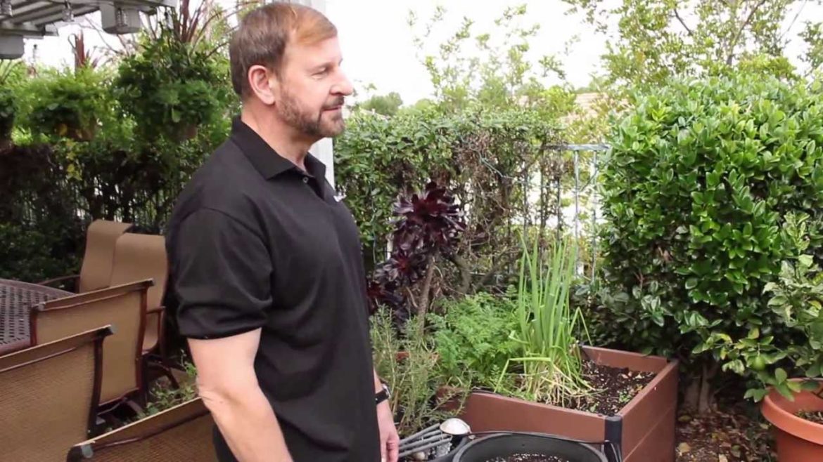 Container Gardening in Action