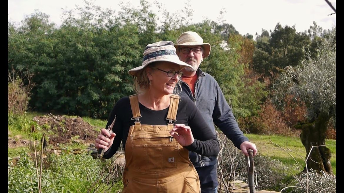 Vegetable Garden Makeover (with help from friends) Vegetable Garden Makeover (with help from friends)