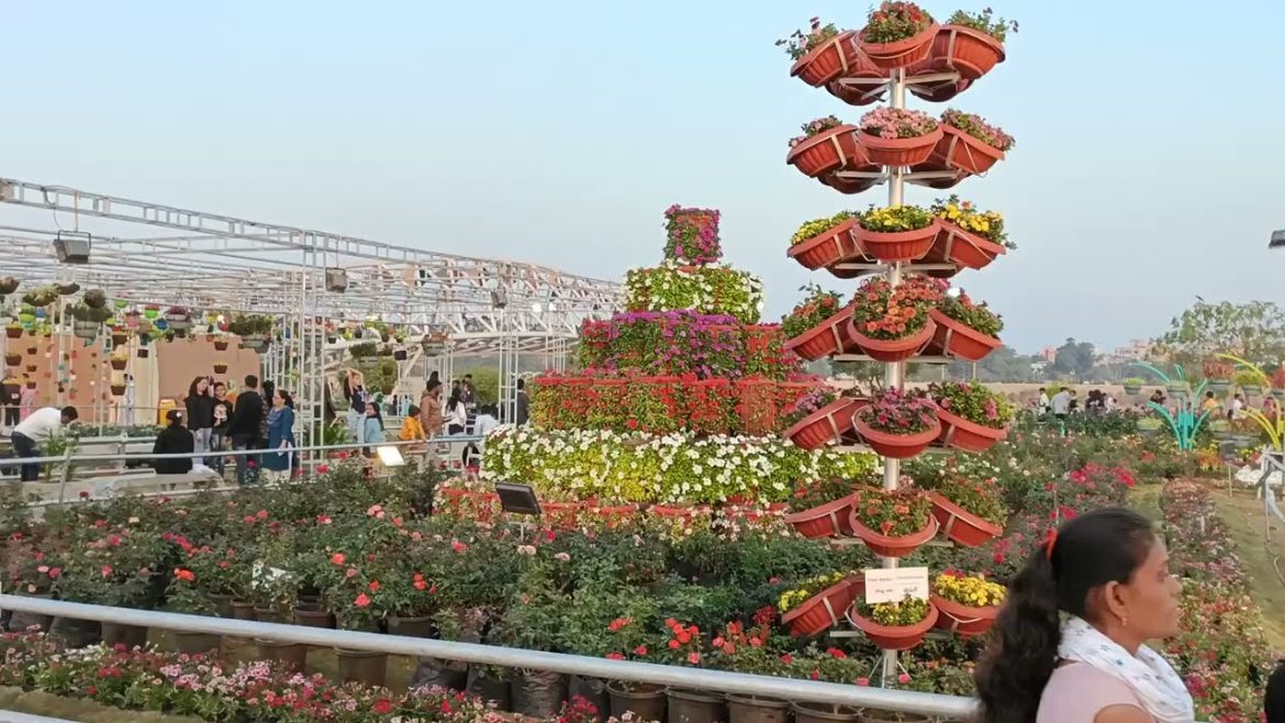 Nurseries, Farms & Gardening tools & equipment stalls at Flower Expo - Sabarmati Riverfront