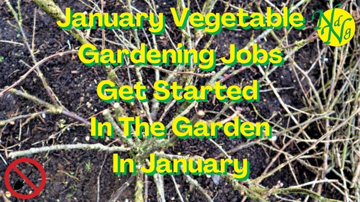 January Vegetable Gardening Jobs, 2023