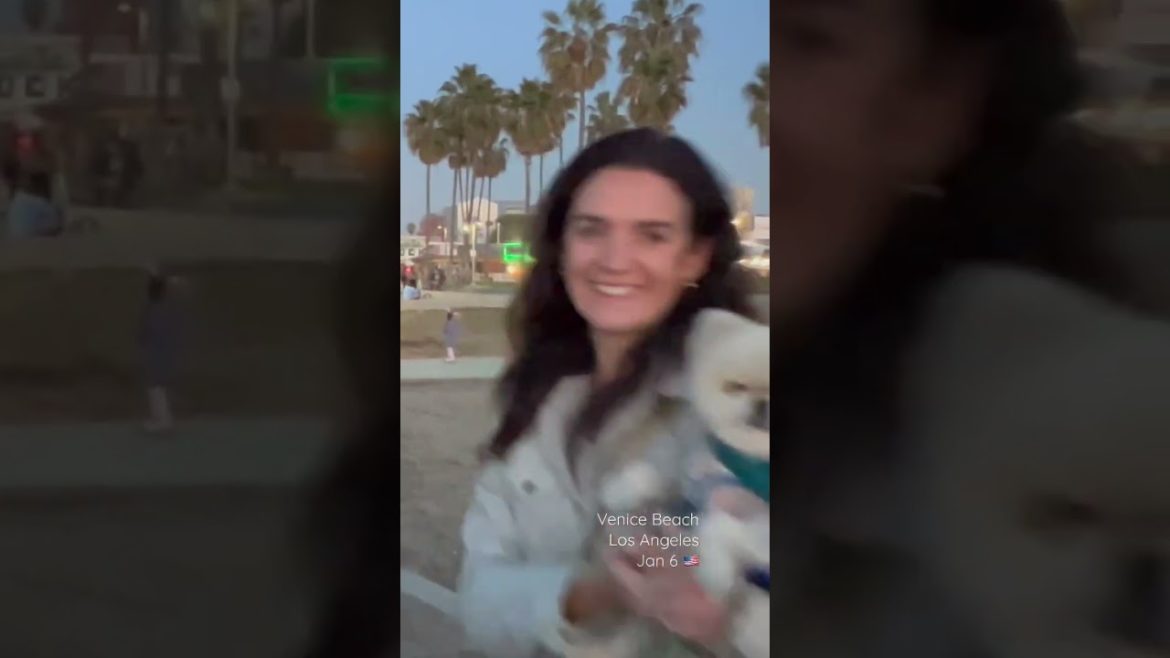 Skatepark LOS ANGELES Good Vibes Skater CALIFORNIA 2023