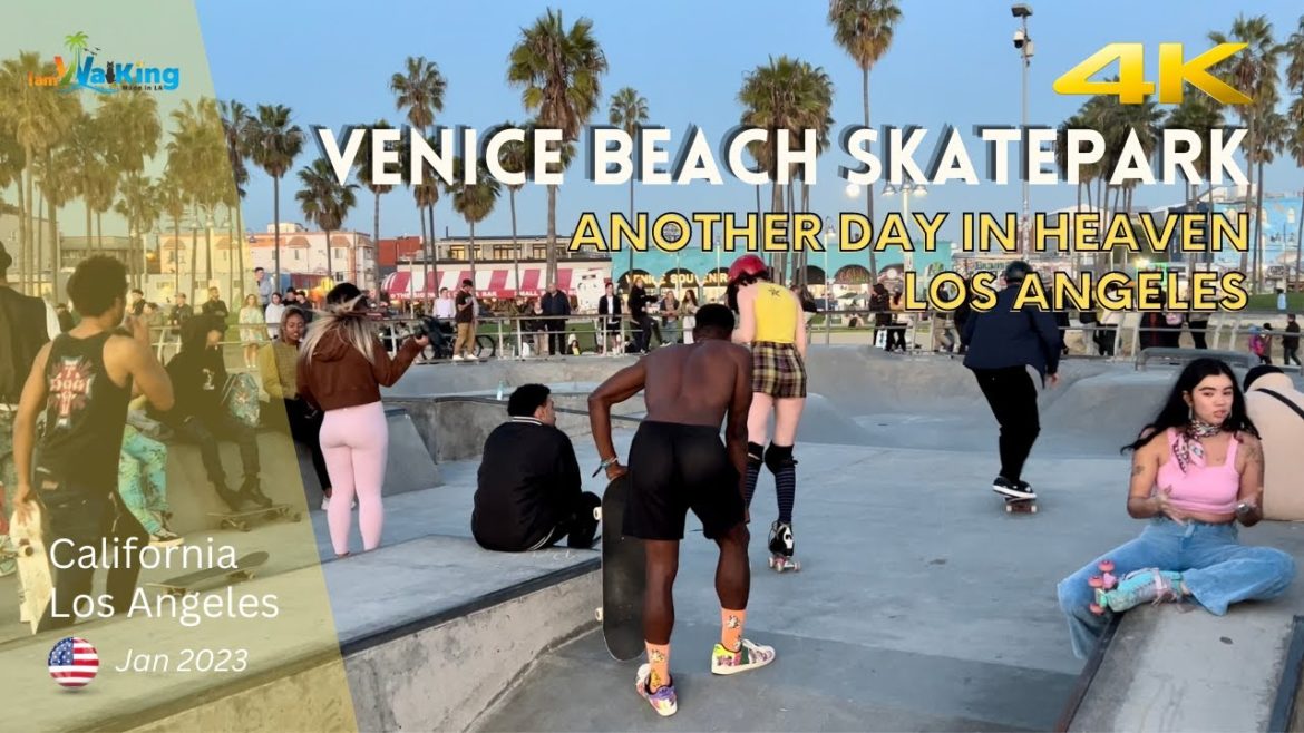 Skatepark LOS ANGELES Good Vibes Skater CALIFORNIA 2023