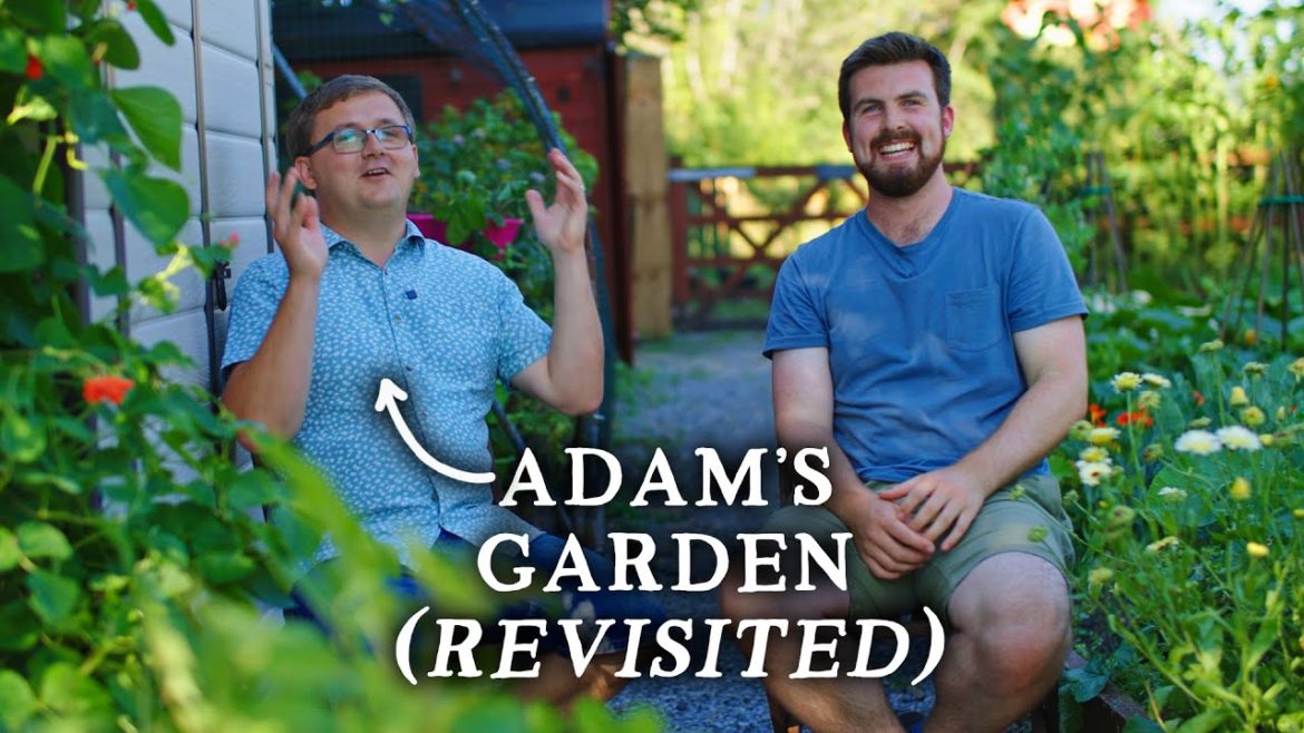 Huw Richards: Two Veg Gardeners Chatting All Things Growing (Adam Jones & Huw Richards) Two Veg Gardeners Chatting All Things Growing (Adam Jones & Huw Richards)