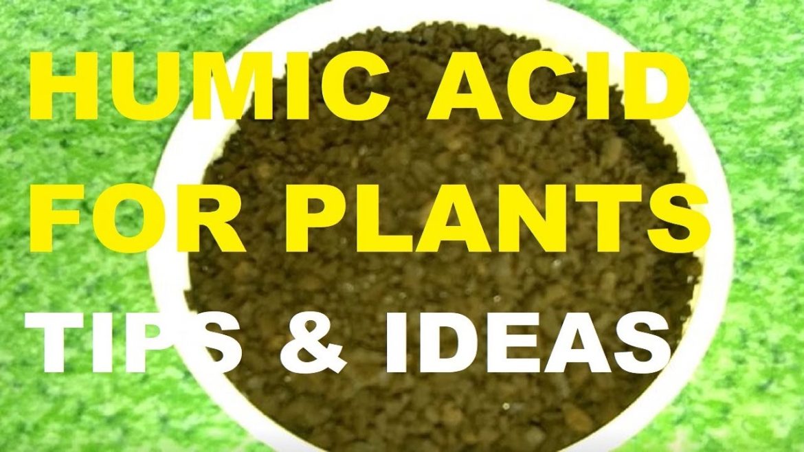 HUMIC ACID FOR PLANTS | SOIL CONDITIONER | GARDEN IDEAS & TIPS HUMIC ACID FOR PLANTS | SOIL CONDITIONER | GARDEN IDEAS & TIPS