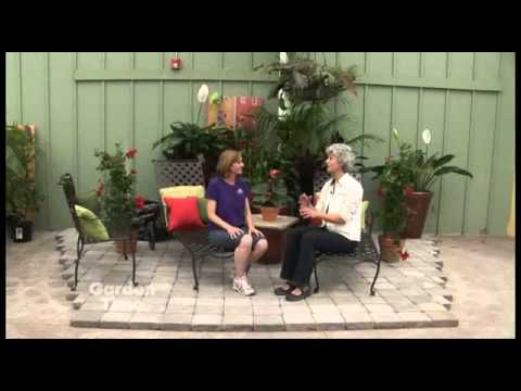 Container Garden Ideas for Outdoor Room Makeovers June-2011.avi Container Garden Ideas for Outdoor Room Makeovers June-2011.avi