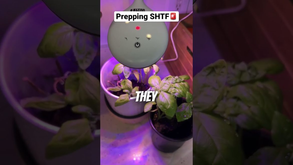 Prepping SHTF 🚨growing our own food