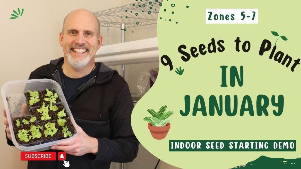 9 Seeds You Can Plant Indoors in January