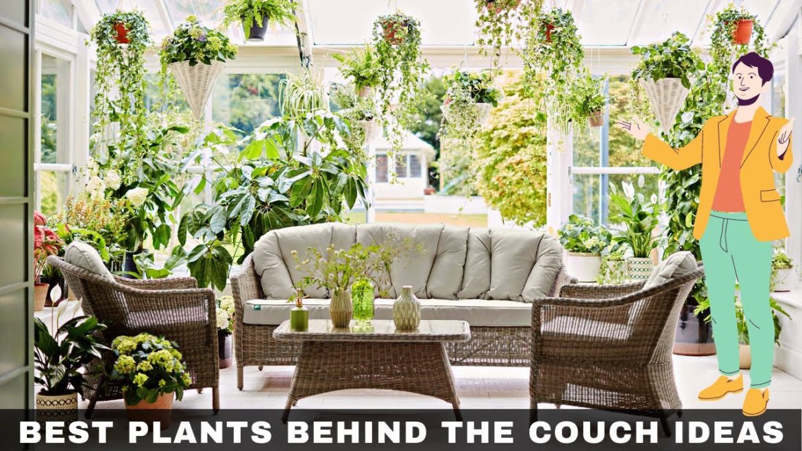 17 Best Plants Behind the Couch Ideas | How to Style Your Home with Indoor Plants 2023