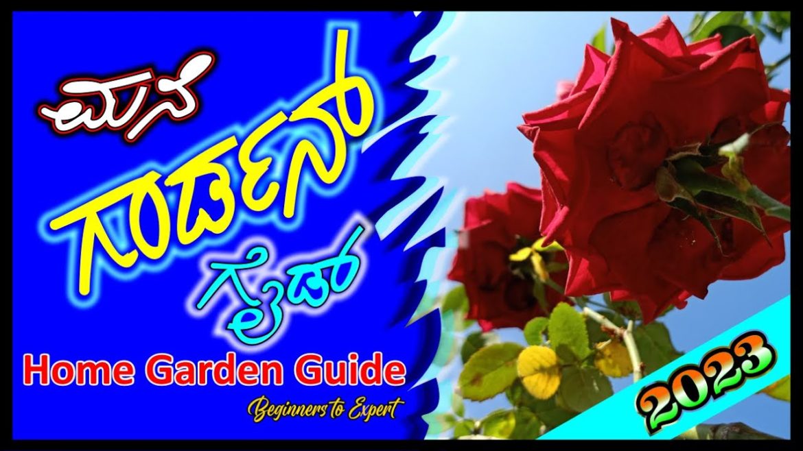 ಮನೆ ಗಾರ್ಡನ್ ಗೈಡ್ 2023 I home garden guide 2023 #gardenguide #gardener #marysmanegarden