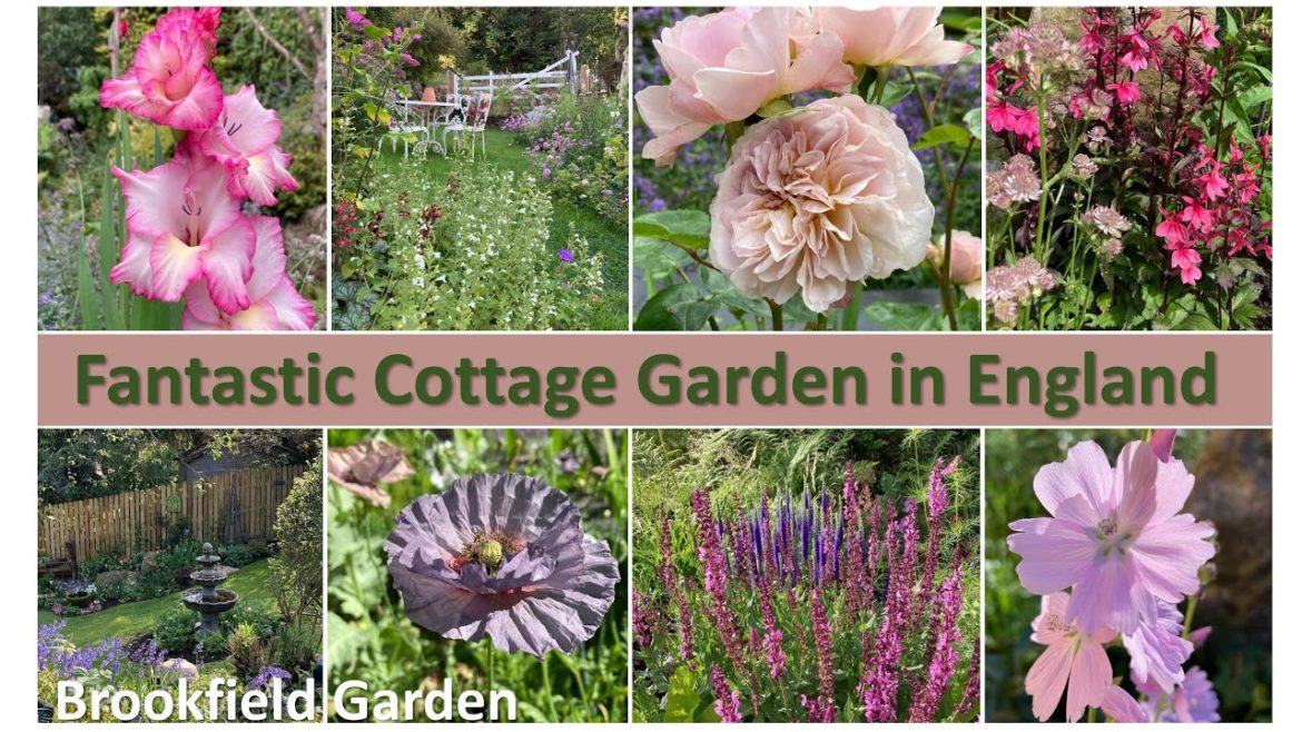 Beautiful Small Cottage garden from England. Garden Inspiration Ideas, Landscape and Garden Design. Beautiful Small Cottage garden from England. Garden Inspiration Ideas, Landscape and Garden Design.