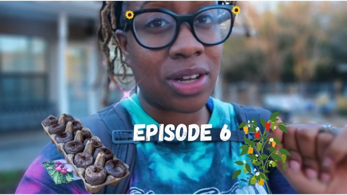 A Day in The Life of a Black Farm Wife Episode 6