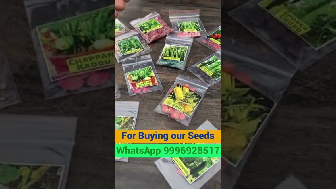 Summer Vegetable Seeds available Summer Vegetable Seeds available