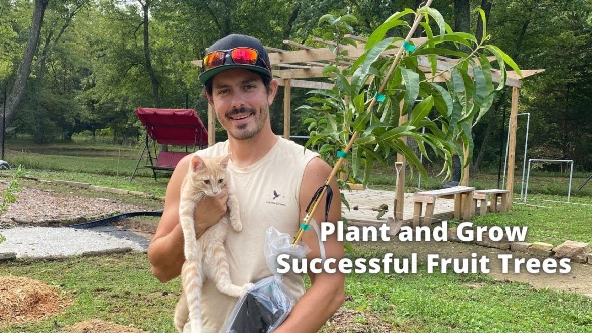 Planting a Nectarine Tree in my backyard garden