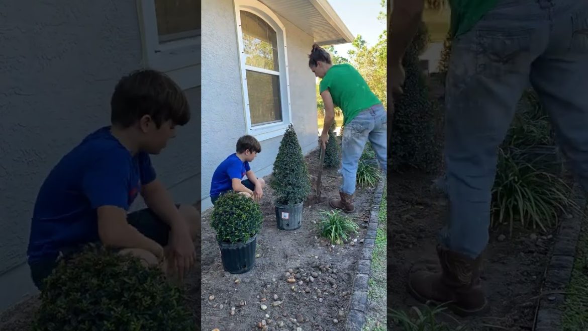 We REMODELED Our Front Garden! #shorts #shortsvideo