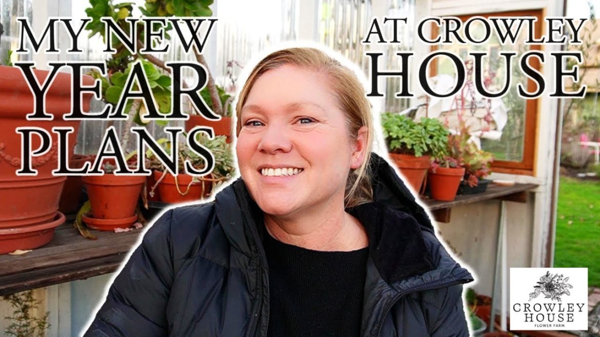 My New Year Plans ๐๐ฟ๐บ// Cleaning up the Cool Garden // Vlog My New Year Plans ๐๐ฟ๐บ// Cleaning up the Cool Garden // Vlog