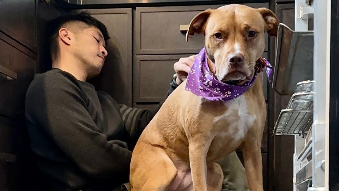 Cook With Me: Roast Butternut Squash and a Mushroom Oat Congee