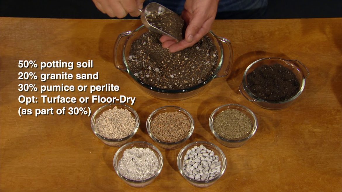 Make Your Own Succulent Potting Soil |Jeff Pavlat |Central Texas Gardener