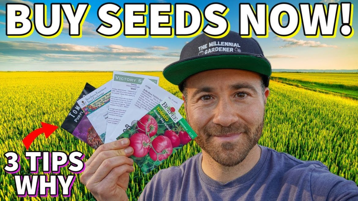 3 Reasons Why You Must Buy SEEDS For Your Garden NOW!