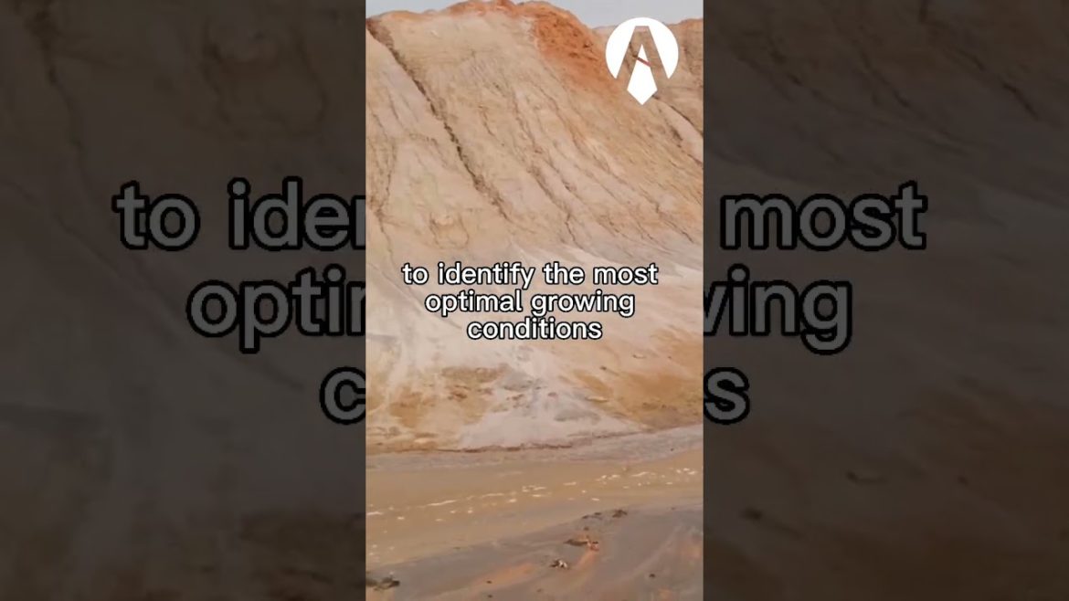 “AI and Agriculture: Boosting Crop Yields and Sustainability” "AI and Agriculture: Boosting Crop Yields and Sustainability"