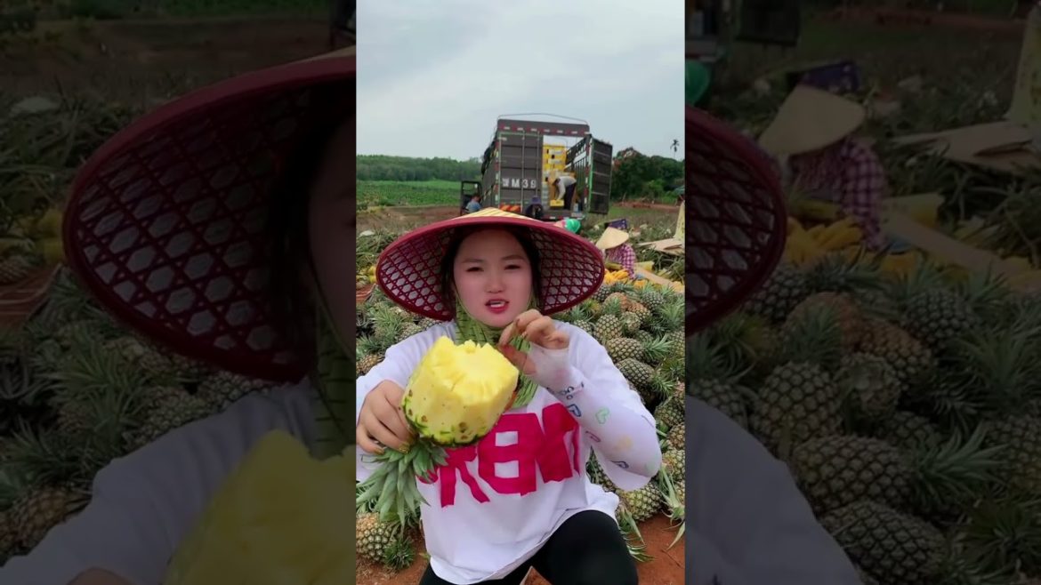 fresh fruit in the farm #shorts fresh fruit in the farm #shorts