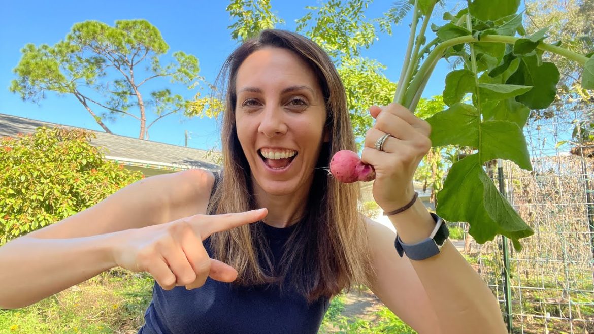 The Best Vegetables to Plant in January in Florida