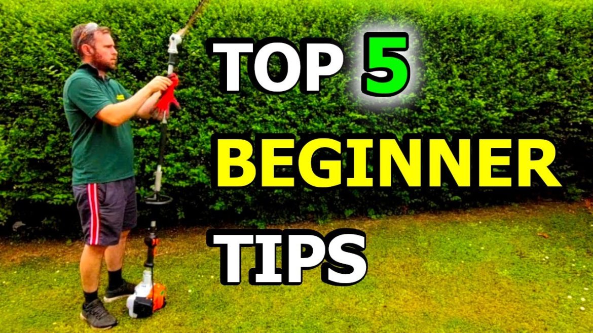 Top 5 Beginner tips for a Commercial Gardener