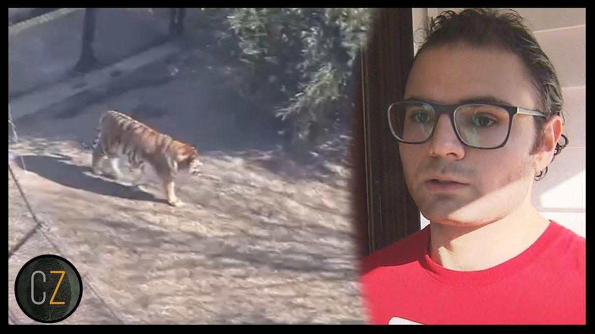 Weirdest Crimes Of 2022