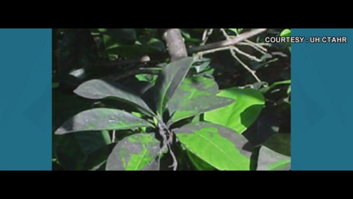 Get Dirty: Gardening with tips on water use and more Get Dirty: Gardening with tips on water use and more