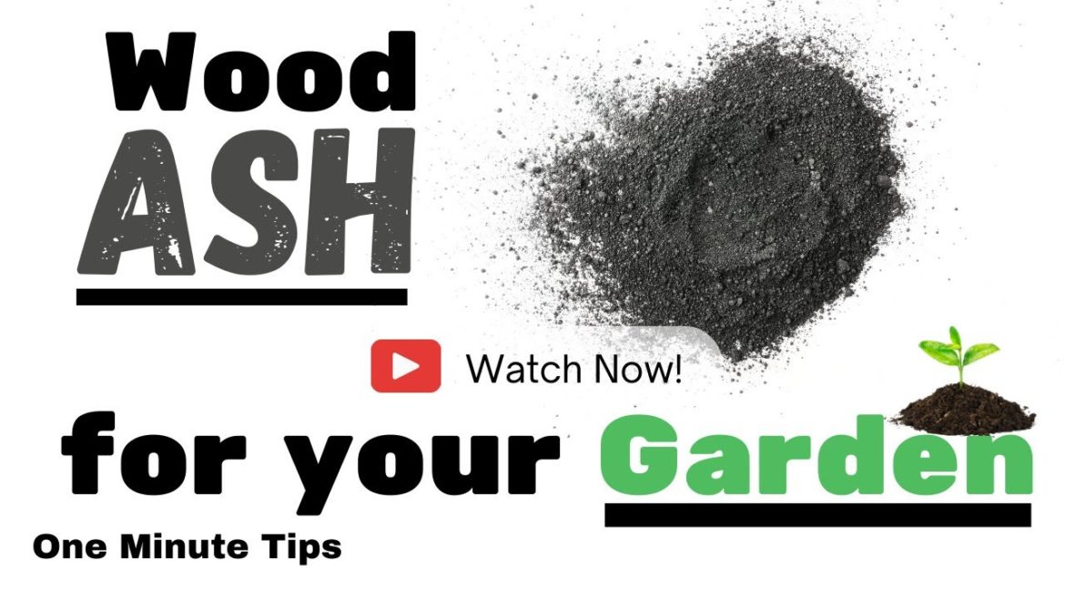 One Minute Tips – Garden – Wood Ash for your Garden! One Minute Tips - Garden - Wood Ash for your Garden!