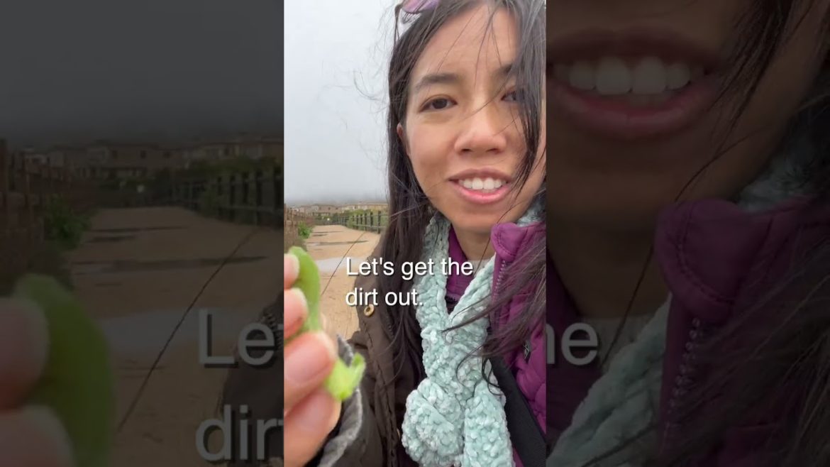 I went to hunt for RARE WILD FOODS and this is What I Found!