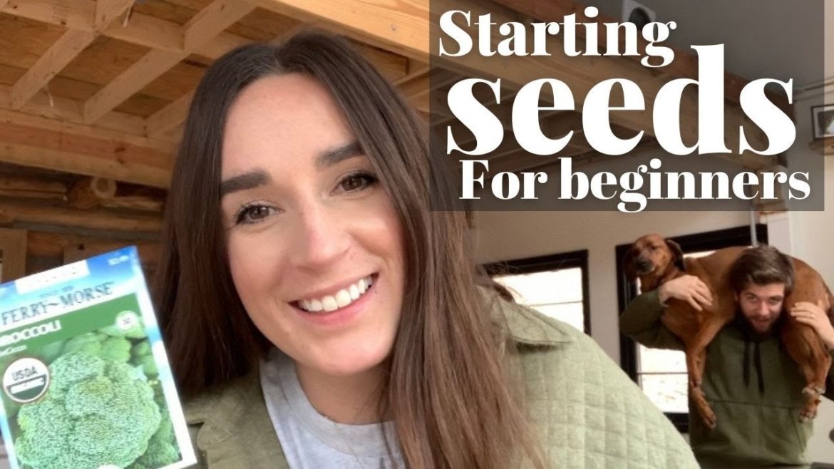 Gardening for Beginners | Starting First Garden Indoors | Starting Seeds for Raised Bed Gardening Gardening for Beginners | Starting First Garden Indoors | Starting Seeds for Raised Bed Gardening