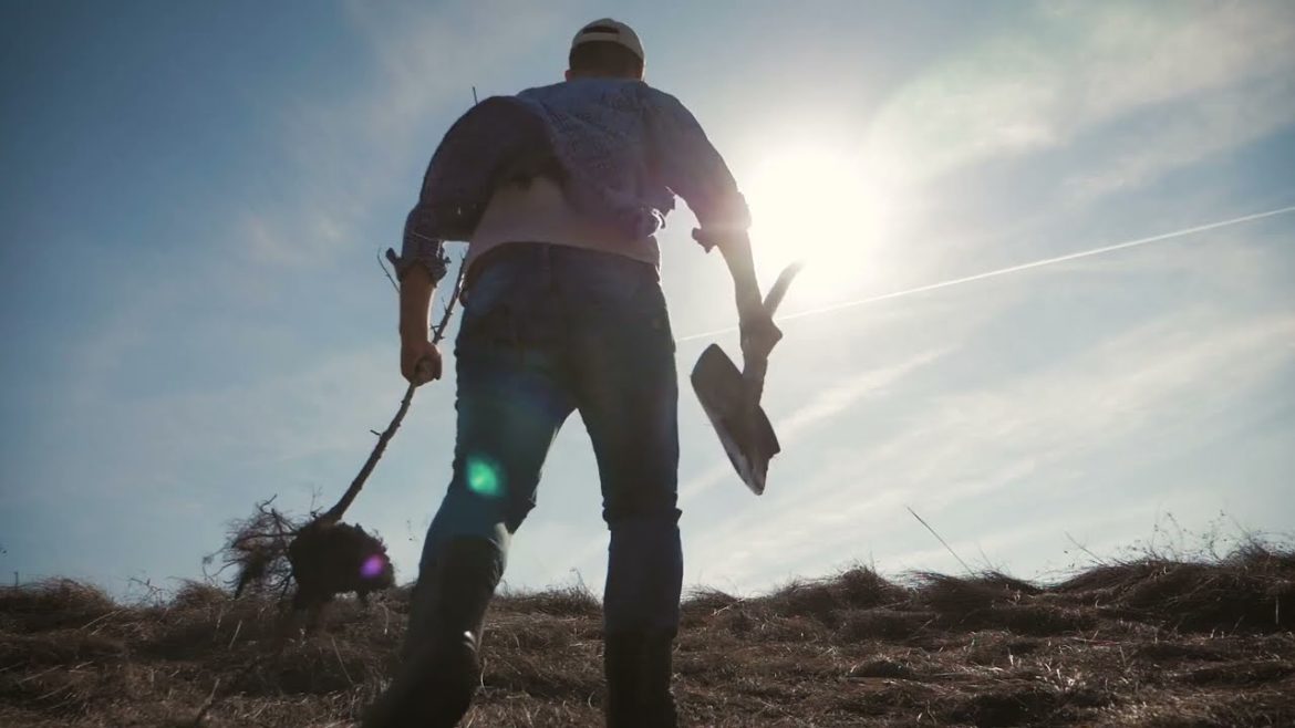 Man GARDENER – With a Shovel of the Earth and Planting Time, He Gets the Garden Ready Man GARDENER - With a Shovel of the Earth and Planting Time, He Gets the Garden Ready