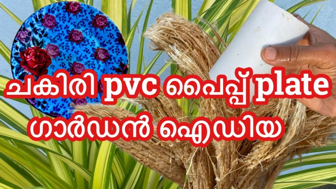 ചകിരി pvc പൈപ്പ് plate ഗാർഡൻ ഐഡിയ gardening ideas for home using waste materials