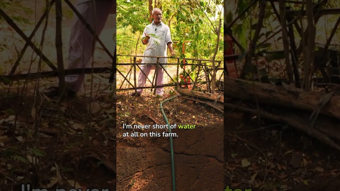 India's Water Revolution: Permaculture for Wastelands. India's Water Revolution: Permaculture for Wastelands.