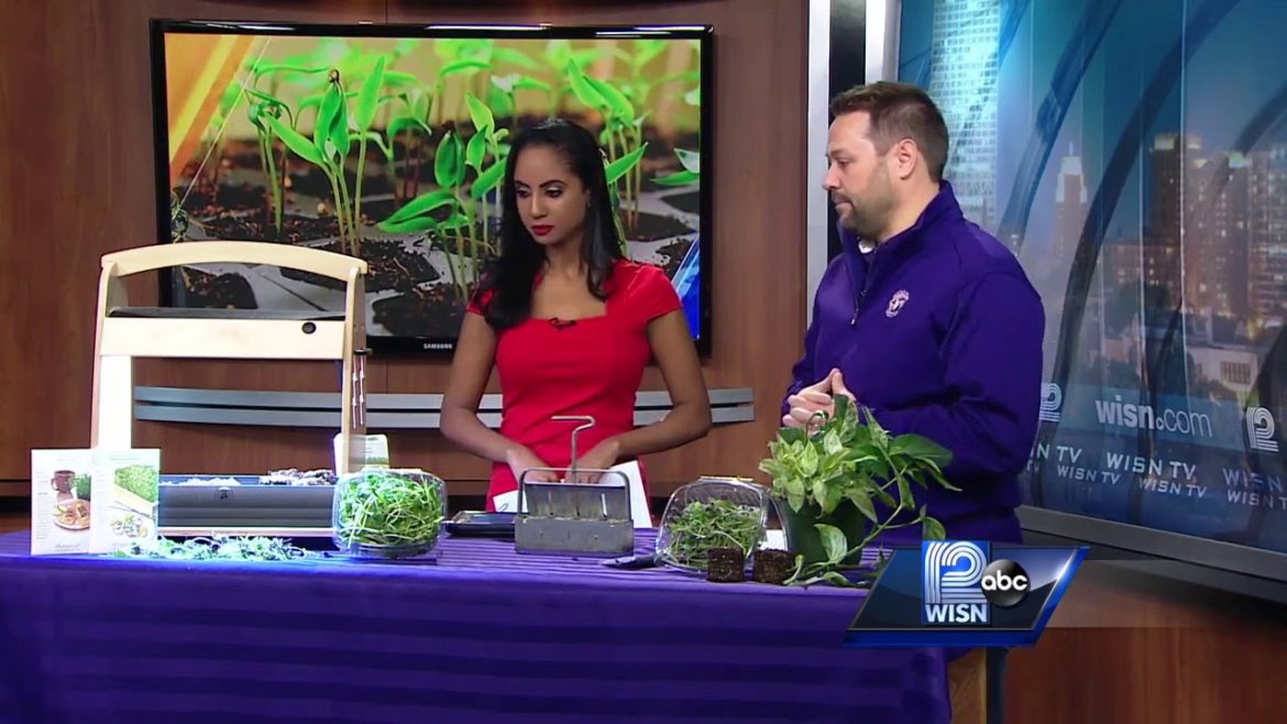 Winter gardening tips from Purple Cow Organics