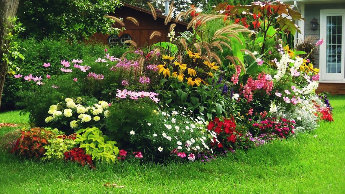 π The Best garden decoration ideas 2023 | Backyard decoration ideas π π The Best garden decoration ideas 2023 | Backyard decoration ideas π