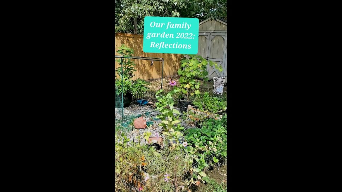 2022: Our Family Garden and What We've Learned 2022: Our Family Garden and What We've Learned