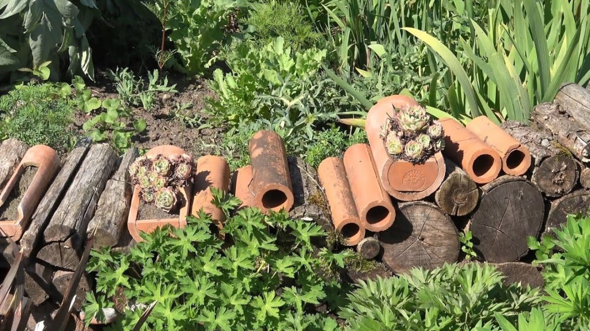 Cheap Garden Ideas: Using Recycled Materials