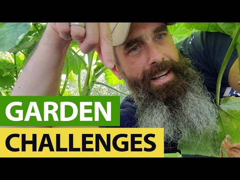 Gardeners Could Face Major Reckoning When It Matters Most Gardeners Could Face Major Reckoning When It Matters Most