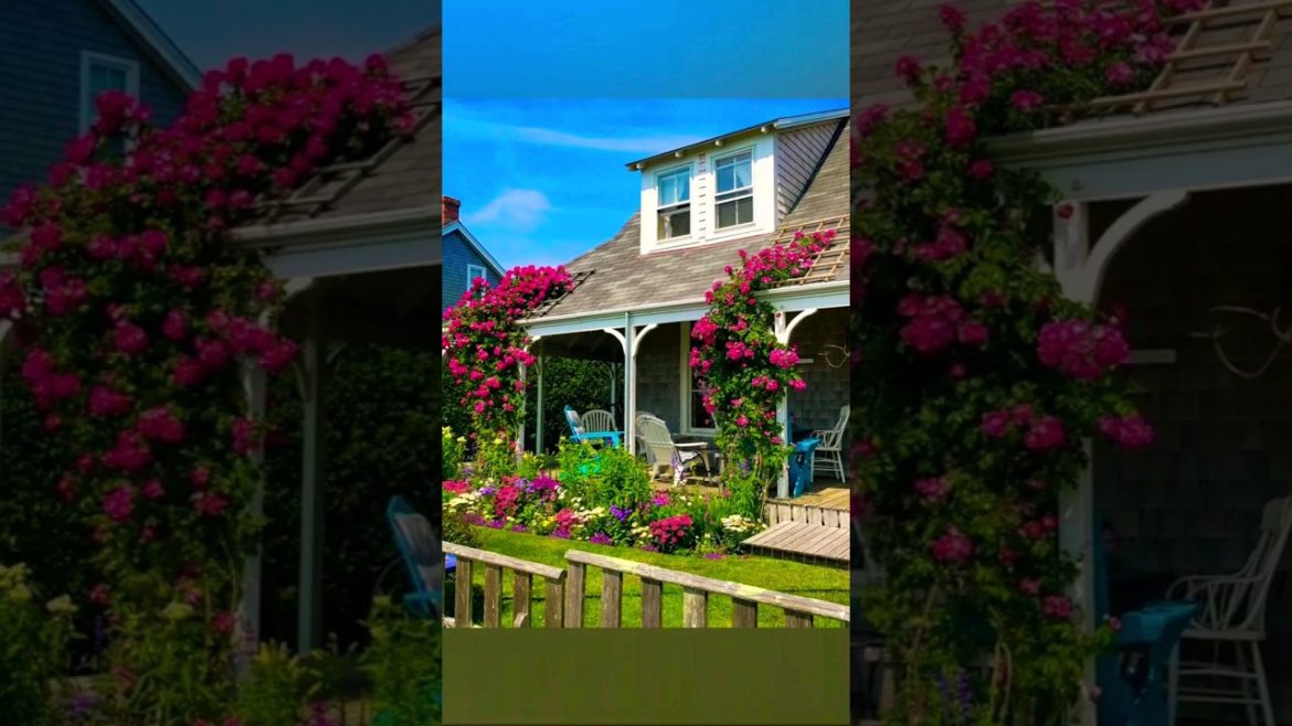 Inspiring Garden decor ideas #shorts #youtubeshorts #decor #home #viral #gardening #diy #shortsfeed