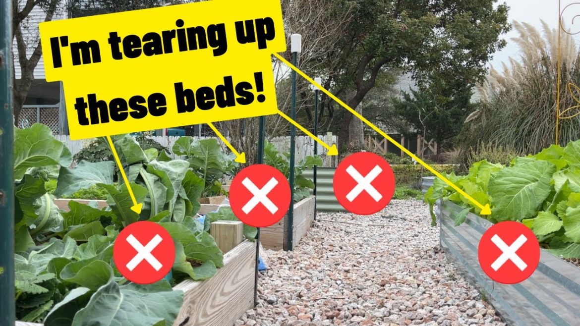 I'm tearing up some of these beds & starting over! Getting ready for spring! 8b Garden Planning