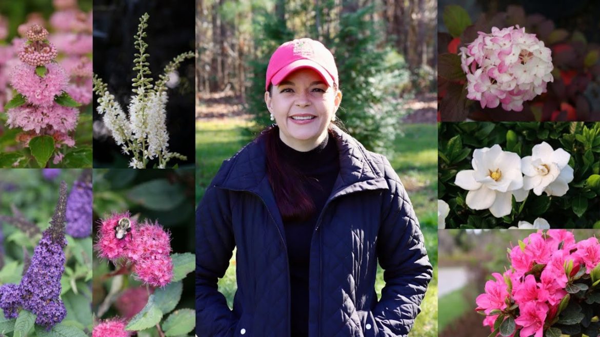 Top 10 Shrubs for the South (And Beyond) | Gardening with Creekside Top 10 Shrubs for the South (And Beyond) | Gardening with Creekside