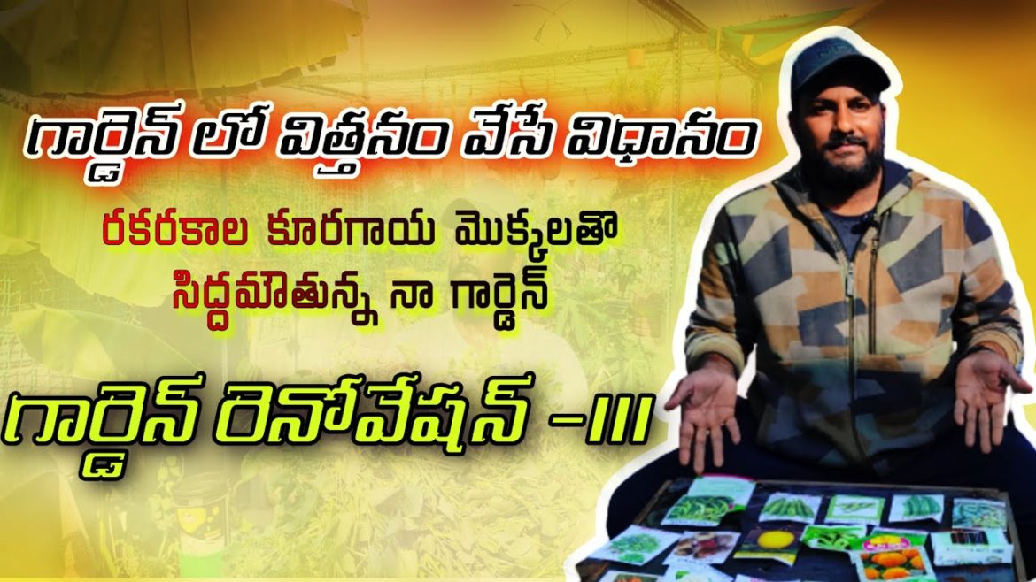 How to Grow Seeds in Containers: Garden Renovation Part-3