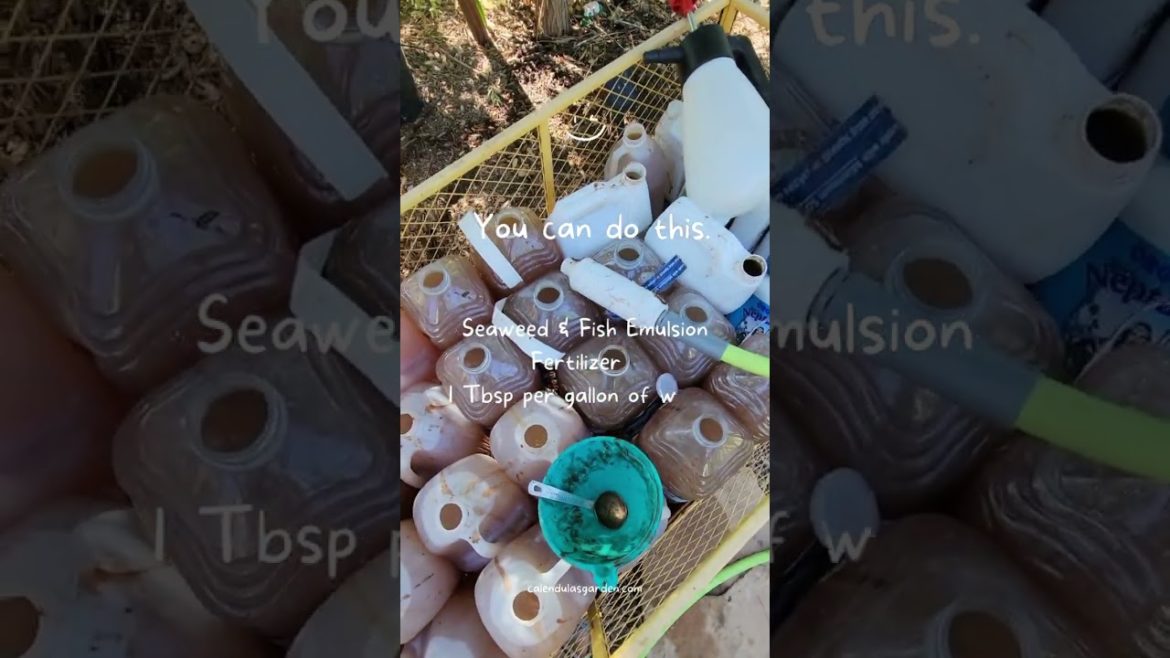 Our Favorite Gardening Tips: How To Use Natural Fertilizers #shorts