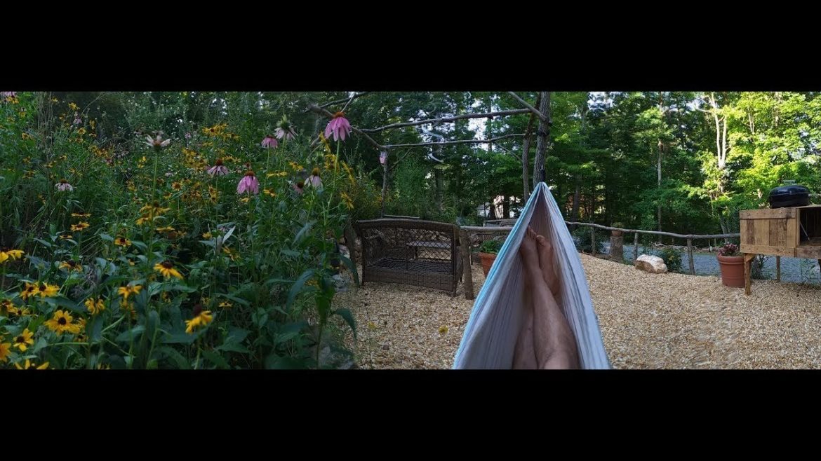 Making an awesome front yard garden. For more, go to https://youtu.be/-oHNlnAF8MU Making an awesome front yard garden. For more, go to https://youtu.be/-oHNlnAF8MU