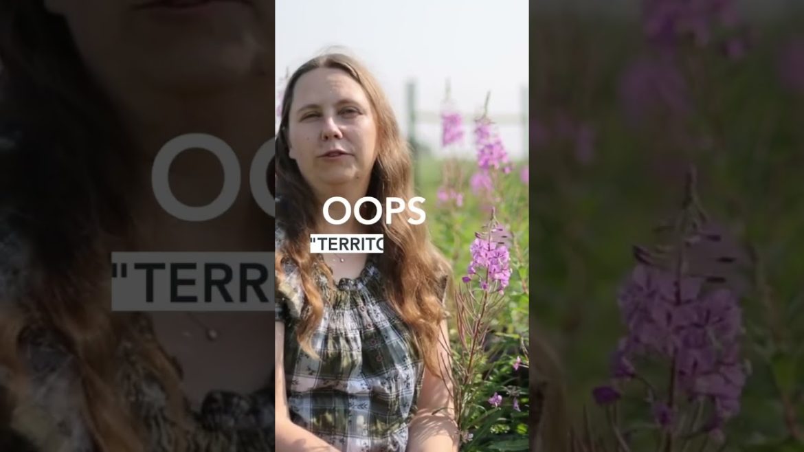 Edible Flowers - Fireweed